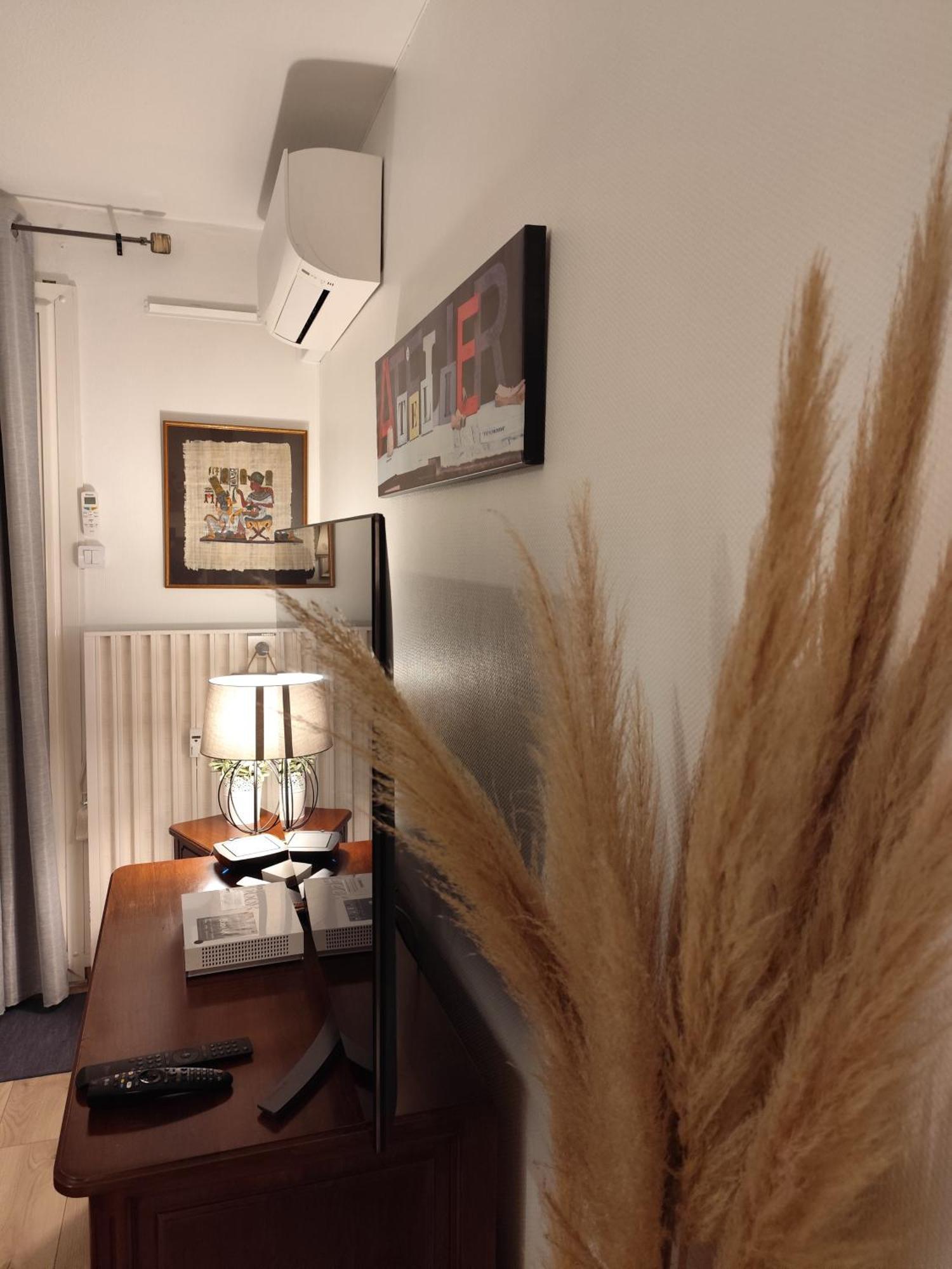 Le Balcon De La Basse Centre Ville De ペルピニャン エクステリア 写真